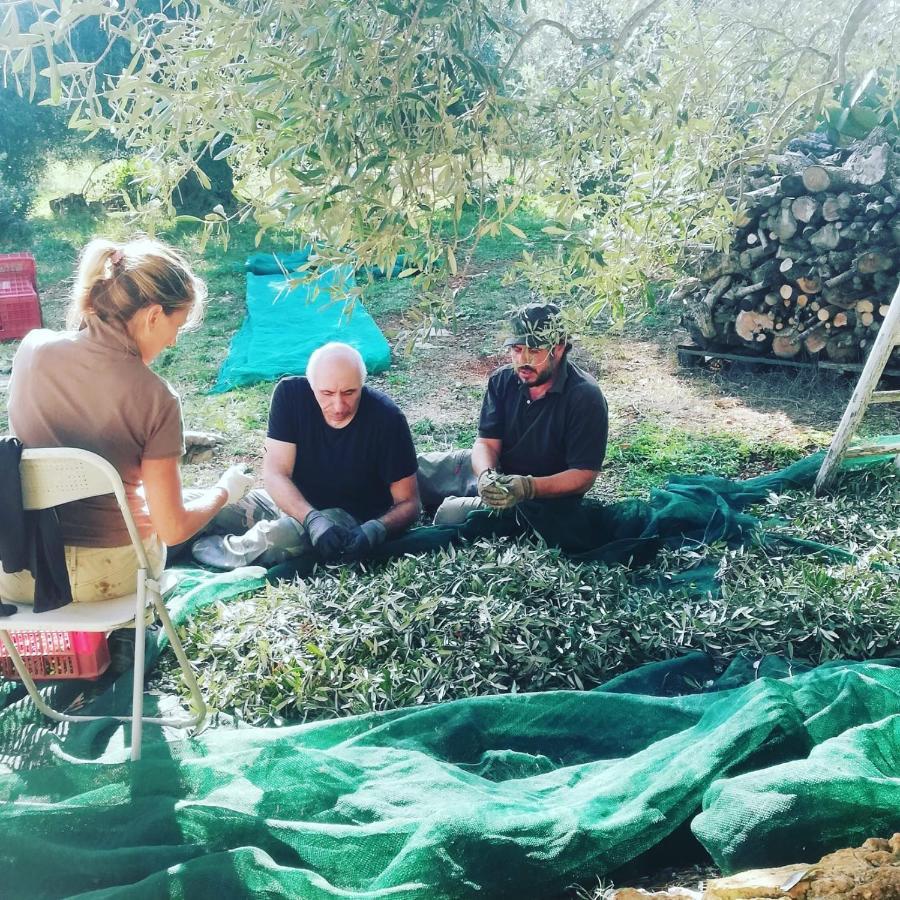 B&B Giovannarolla Green House Ostuni Eksteriør bilde