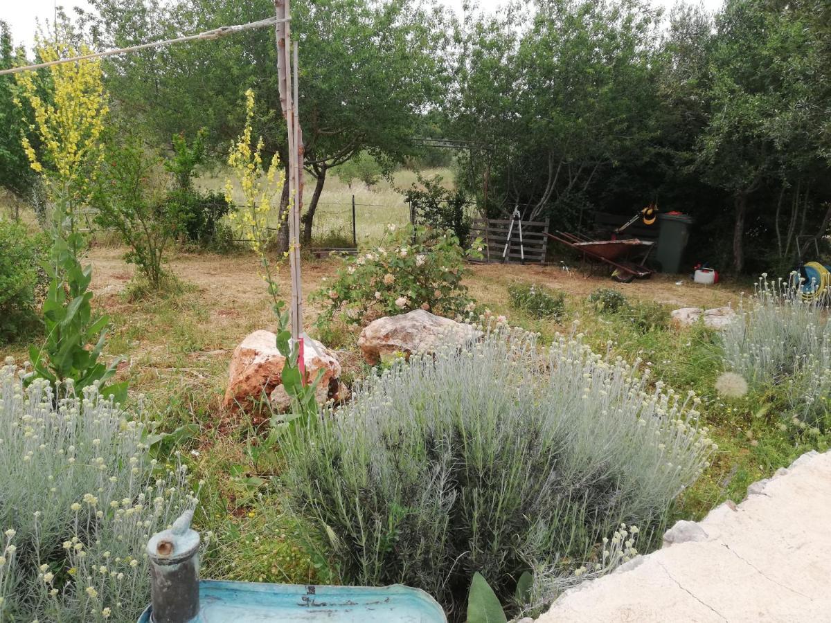 B&B Giovannarolla Green House Ostuni Eksteriør bilde