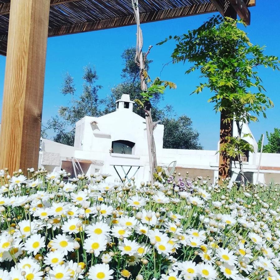 B&B Giovannarolla Green House Ostuni Eksteriør bilde