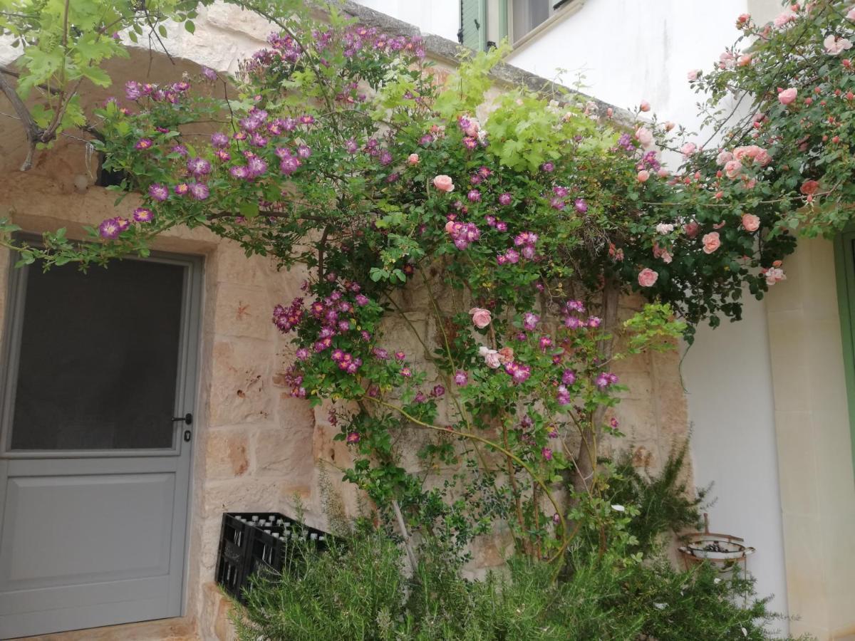 B&B Giovannarolla Green House Ostuni Eksteriør bilde