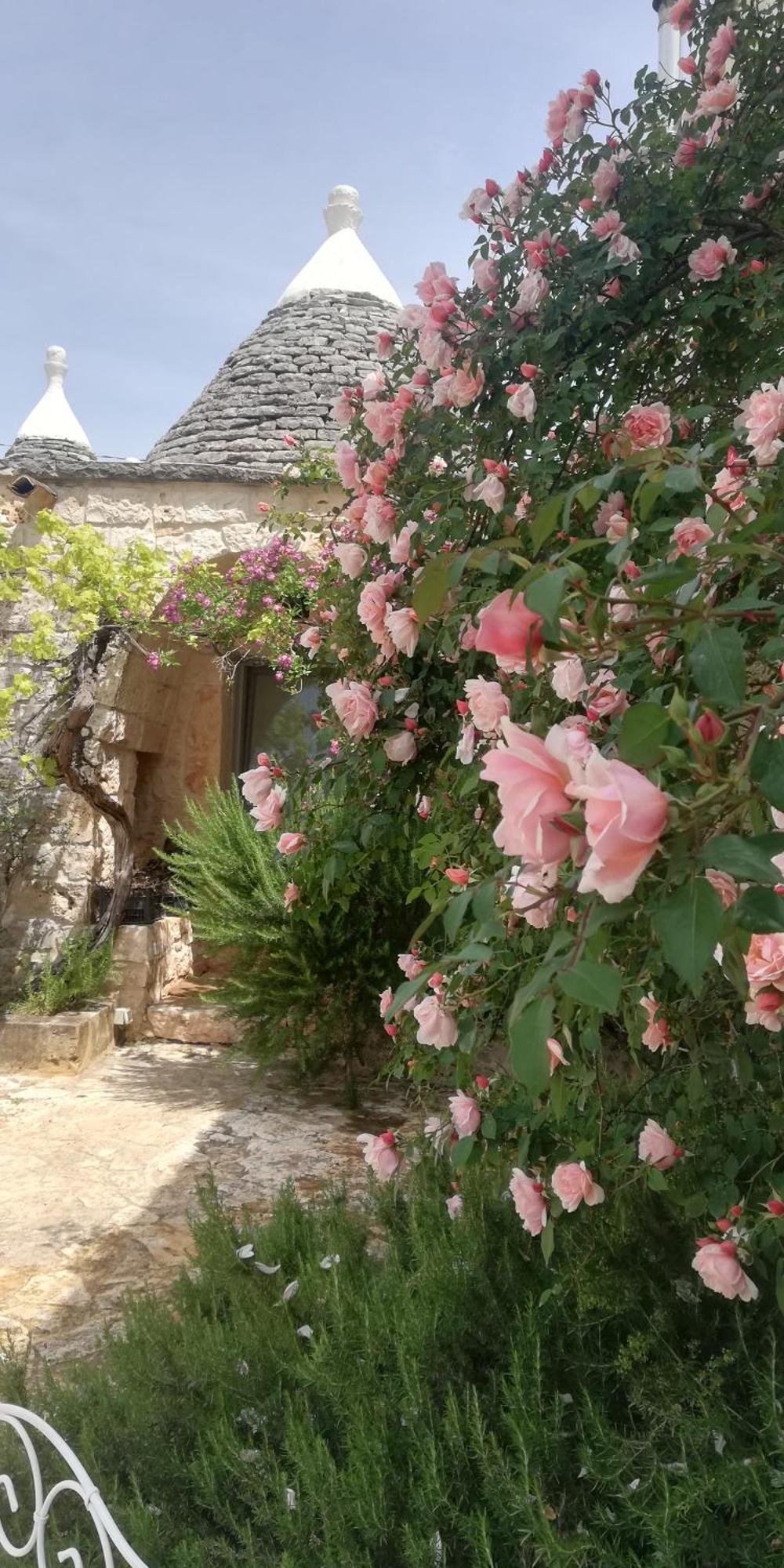 B&B Giovannarolla Green House Ostuni Eksteriør bilde