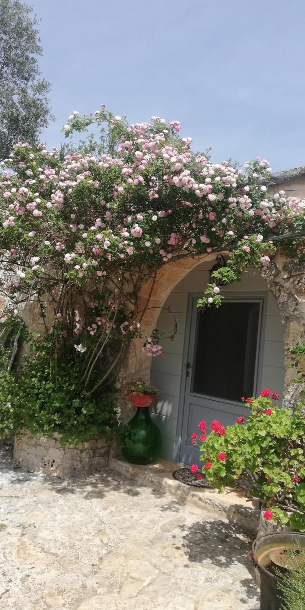 B&B Giovannarolla Green House Ostuni Eksteriør bilde