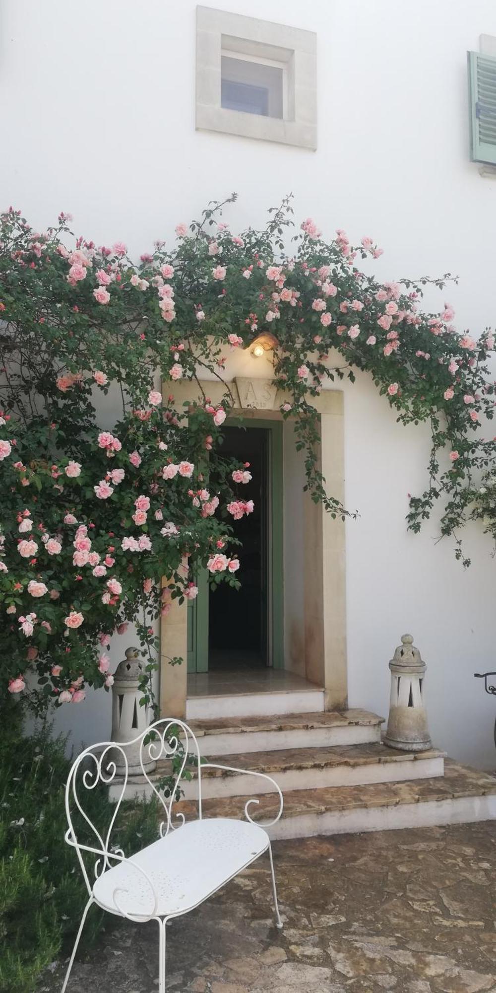 B&B Giovannarolla Green House Ostuni Eksteriør bilde