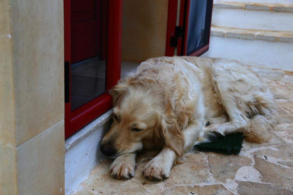 B&B Giovannarolla Green House Ostuni Eksteriør bilde